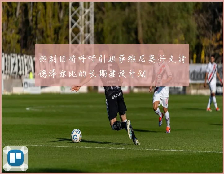 热刺旧将呼吁引进萨维尼奥并支持德泽尔比的长期建设计划